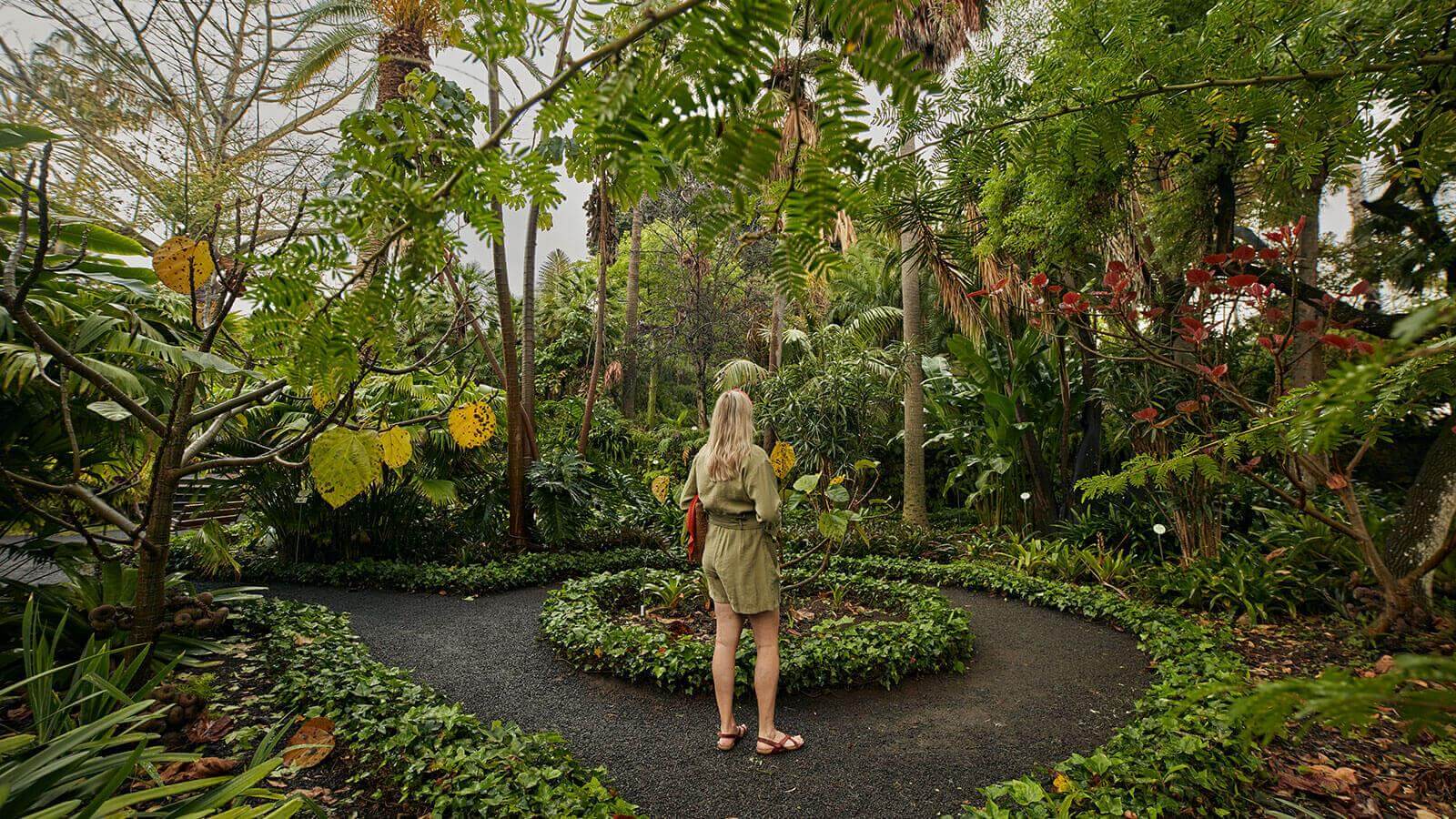 Acclimatisatietuin van La Orotava werden (Tenerife)