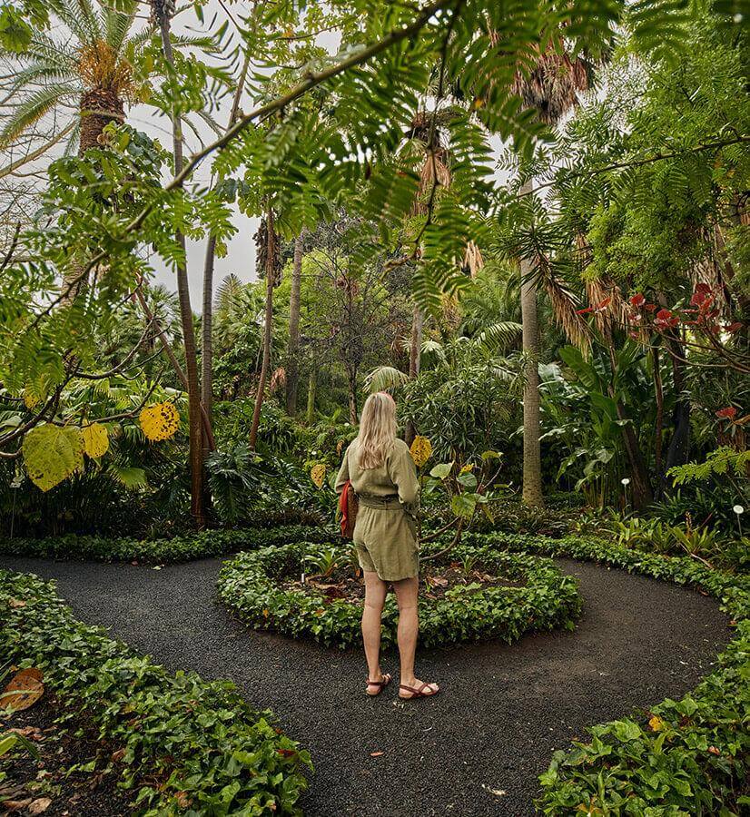 Acclimatisatietuin van La Orotava werden (Tenerife)