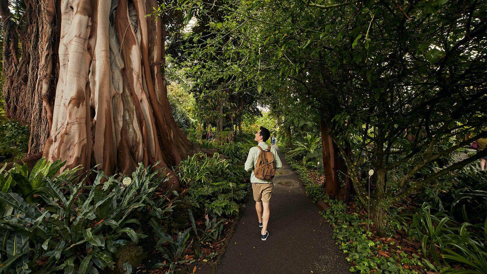 Botanische tuin in Puerto de La Cruz, Tenerife.