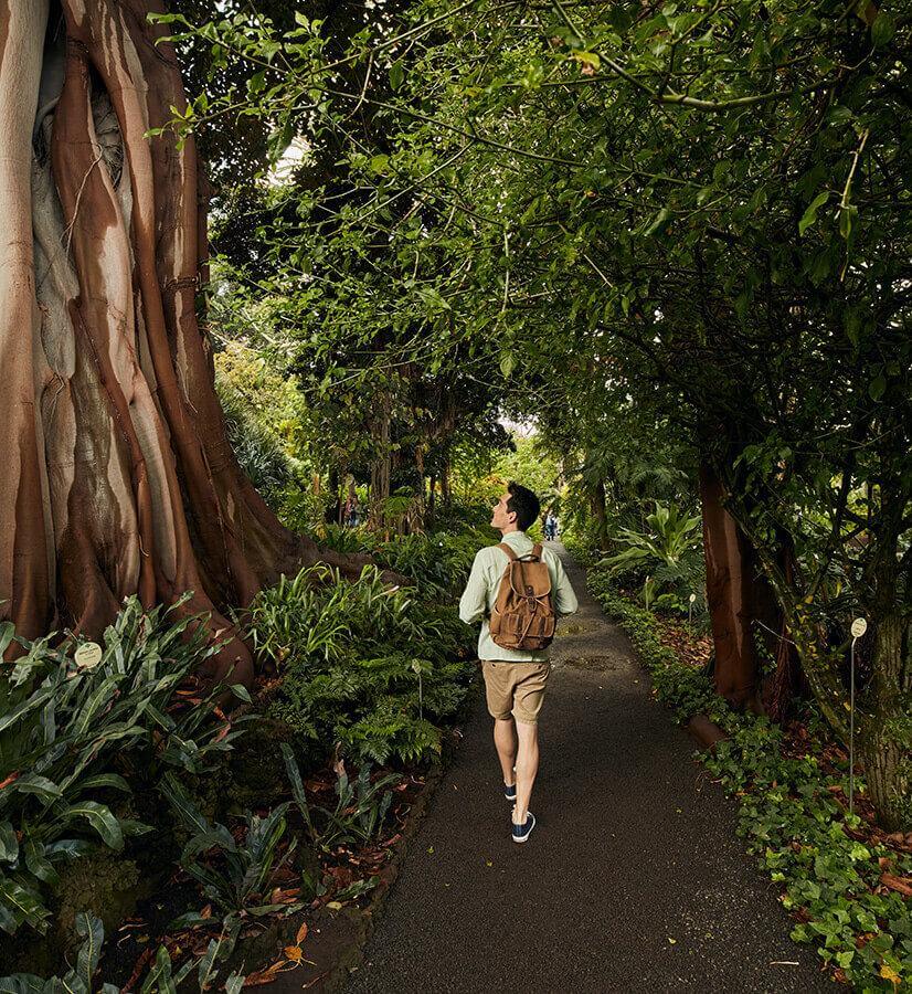 Botanische tuin in Puerto de La Cruz, Tenerife.